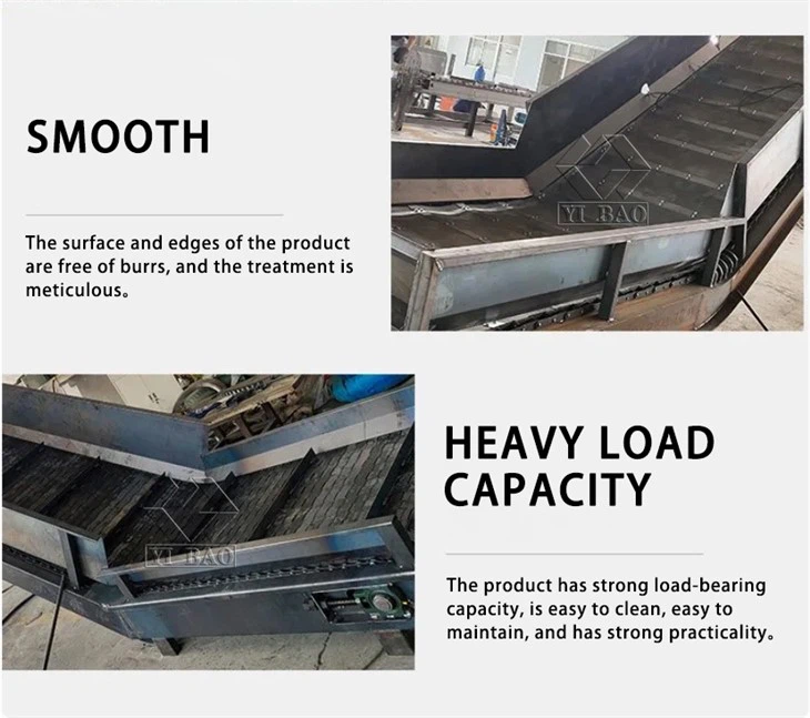 Chain Conveyor
