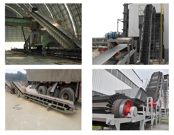 Roller Chain Conveyor Roller Chain Conveyor